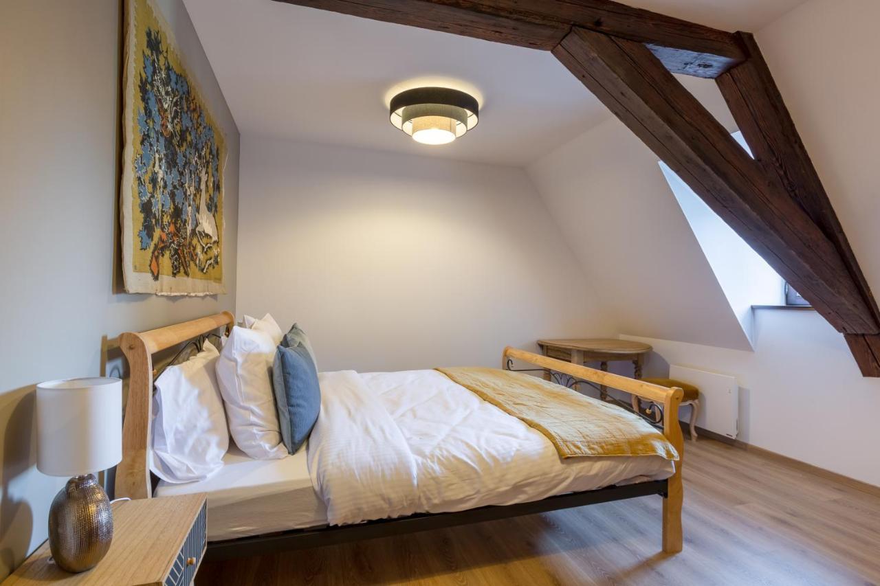 Le Rhenanus Jacques Taurellus - Appartement Duplex Au Calme - Centre Ville - Parking Gratuit Sélestat Eksteriør billede